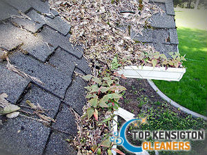 cleaning-gutter-kensington